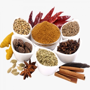 Manufacturers Exporters and Wholesale Suppliers of SPICES Delhi Delhi