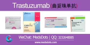 Manufacturers Exporters and Wholesale Suppliers of Indian Trastuzumab Injection delhi Delhi Manufacturers Exporters and Wholesale Suppliers of Indian Trastuzumab Injection delhi Delhi