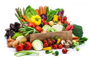 Manufacturers Exporters and Wholesale Suppliers of Vegetables Bangalore Karnataka