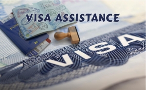 Service Provider of Visa Assistance Delhi Delhi 