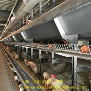 Poultry Supplies