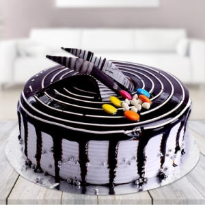 Choco vanilla cake Manufacturer Supplier Wholesale Exporter Importer Buyer Trader Retailer in Bangalore Karnataka India