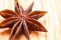 Manufacturers Exporters and Wholesale Suppliers of Star Anise Nagaon Assam