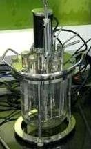 Manufacturers Exporters and Wholesale Suppliers of Laboratory Fermenter Mohali Punjab
