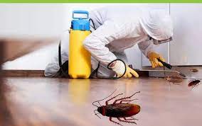 Cockroaches Control