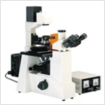 Fluorescent Microscopes