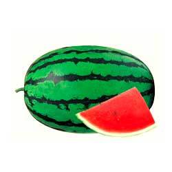 Kohinoor Watermelon Manufacturer Supplier Wholesale Exporter Importer Buyer Trader Retailer in Surat Gujarat India