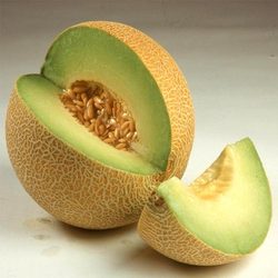 Muskmelon Madhuri