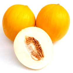 Sona Muskmelon Manufacturer Supplier Wholesale Exporter Importer Buyer Trader Retailer in Surat Gujarat India