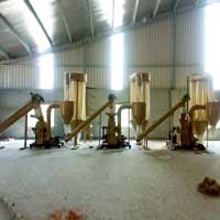 Chilly Grinding Plants