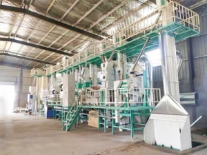 100T/D Rice Mill Plant Manufacturer Supplier Wholesale Exporter Importer Buyer Trader Retailer in Zhengzhou Beijing China