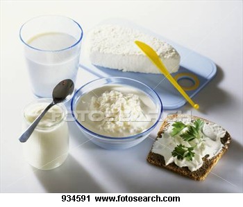 Manufacturers Exporters and Wholesale Suppliers of Various dairy products Mumbai Maharashtra