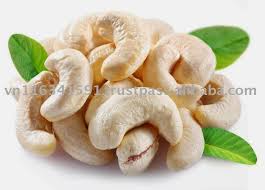 Manufacturers Exporters and Wholesale Suppliers of Cashew Kattur Tamil Nadu