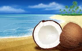 Coconut Manufacturer Supplier Wholesale Exporter Importer Buyer Trader Retailer in Kattur Tamil Nadu India