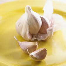 Garlic