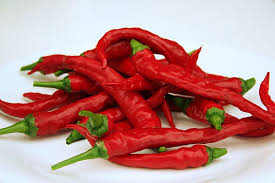 Manufacturers Exporters and Wholesale Suppliers of Red Chilli Kattur Tamil Nadu