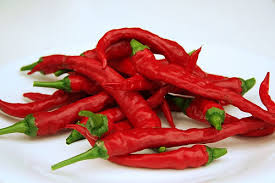 Red Chilli Manufacturer Supplier Wholesale Exporter Importer Buyer Trader Retailer in Kattur Tamil Nadu India