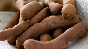 Manufacturers Exporters and Wholesale Suppliers of Tamarind Kattur Tamil Nadu