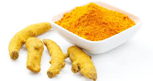 Manufacturers Exporters and Wholesale Suppliers of Turmeric Kattur Tamil Nadu