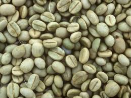 Manufacturers Exporters and Wholesale Suppliers of Arabica Kalpetta North Kerala