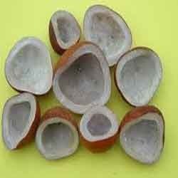 Manufacturers Exporters and Wholesale Suppliers of Edible Coconut Pollachi Coimbatore Tamil Nadu