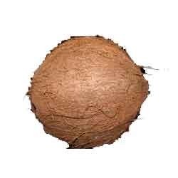 Mature Coconut