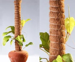 Manufacturers Exporters and Wholesale Suppliers of Coco Poles Tamil nadu Tamil Nadu Coco Poles