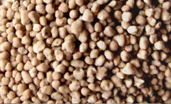 NPK Fertilizers Manufacturer Supplier Wholesale Exporter Importer Buyer Trader Retailer in Kollam Kerala India