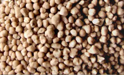 Npk Fertilizers