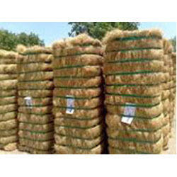 Coco Fibers Manufacturer Supplier Wholesale Exporter Importer Buyer Trader Retailer in Mumbai Maharashtra India