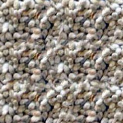 COTTON SEEDS Manufacturer Supplier Wholesale Exporter Importer Buyer Trader Retailer in Niranjan Nagar Madhya Pradesh India