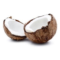 Manufacturers Exporters and Wholesale Suppliers of Dry Coconuts Chennai Tamil Nadu