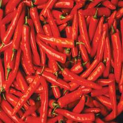 Manufacturers Exporters and Wholesale Suppliers of Big Red Chilli kolkata West Bengal