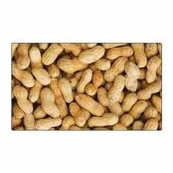 Manufacturers Exporters and Wholesale Suppliers of Peanut Surat Gujarat