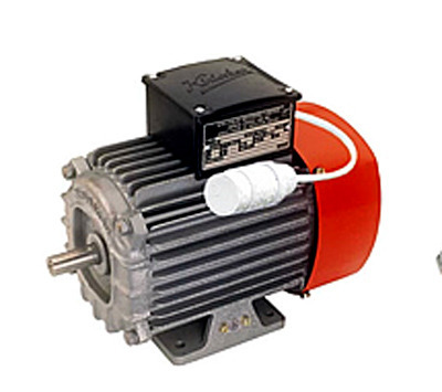 Induction Motors- Dyna Manufacturer Supplier Wholesale Exporter Importer Buyer Trader Retailer in Dehradun - Uttarakhand India