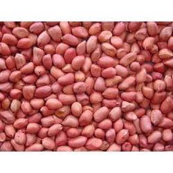 Manufacturers Exporters and Wholesale Suppliers of Peanuts Kernels Surat Gujrat