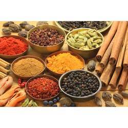 Manufacturers Exporters and Wholesale Suppliers of Spices - Whole Surat Gujrat