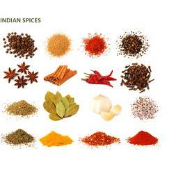 Manufacturers Exporters and Wholesale Suppliers of Spices - Ground Surat Gujrat
