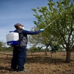 Agricultural Diaphragm Pump Sprayer