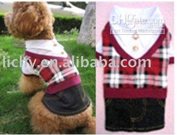 Fashion Female Pet Dog
