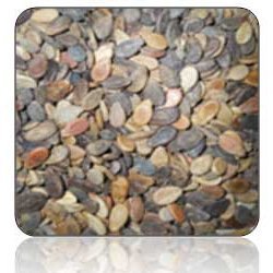 Manufacturers Exporters and Wholesale Suppliers of Watermelon Seeds Ahmedabad Gujarat Watermelon Seeds