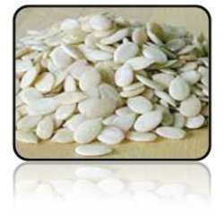 Manufacturers Exporters and Wholesale Suppliers of Watermelon Kernels Ahmedabad Gujarat Watermelon Kernels