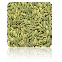 Manufacturers Exporters and Wholesale Suppliers of Fennel Seeds Ahmedabad Gujarat Fennel Seeds