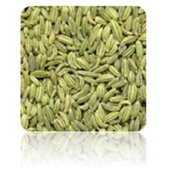 Fennel Seeds