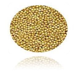 Manufacturers Exporters and Wholesale Suppliers of Millet Ahmedabad Gujarat Millet