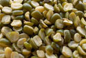 Moong Dal Manufacturer Supplier Wholesale Exporter Importer Buyer Trader Retailer in Mumbai Maharashtra India