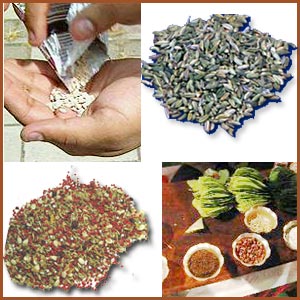 Manufacturers Exporters and Wholesale Suppliers of Gutkha Kanpur Uttar Pradesh