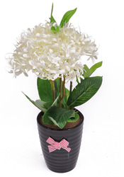 Manufacturers Exporters and Wholesale Suppliers of White Lilacs MUMBAI Maharashtra