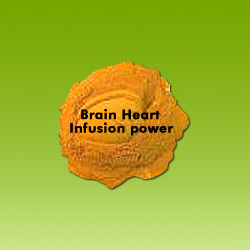 Manufacturers Exporters and Wholesale Suppliers of Brain Heart Infusion Powder Navi Mumbai Maharashtra