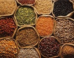 Manufacturers Exporters and Wholesale Suppliers of Pulses Bangalore 